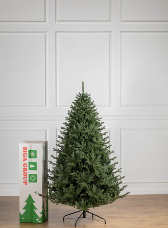 Ялинка лита 'Міланська' ПАРАСОЛЬКА ЗЕЛЕНА 2,10м