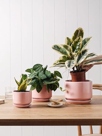 Набір горщиків для квітів LE TAUCI (3 шт.) з кераміки, діаметр 11, 13, 17 см, з підставками та дренажними отворами, реактивна глазур, бежево-рожевий