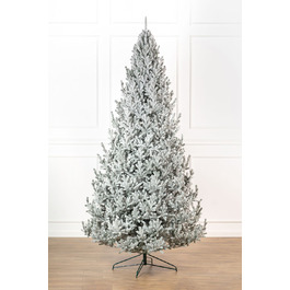 Ялинка лита 'Віденська' ЗАСНІЖЕНА 3,00м