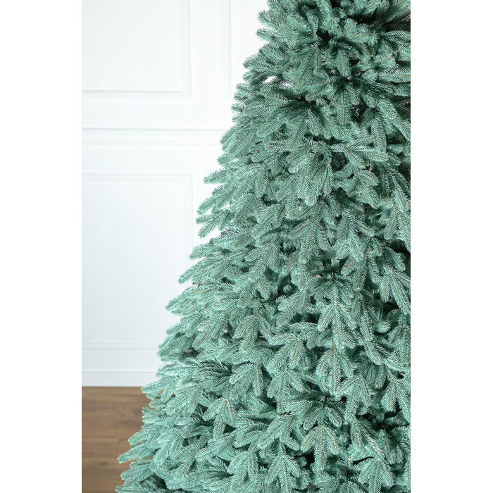 Ялинка лита 'Лапландська' ПАРАСОЛЬКА БЛАКИТНА 3,00м