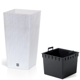 псевдонім:: однокольоровий