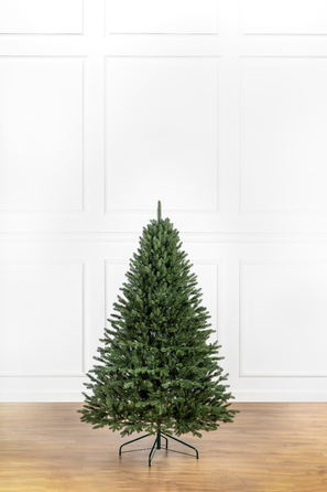 Ялинка лита 'Альпійська' ПАРАСОЛЬКА ЗЕЛЕНА 1,80м