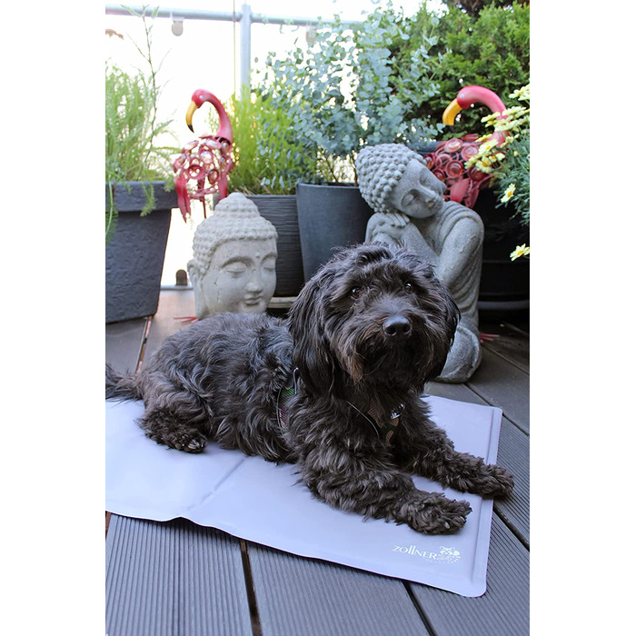 Зональний охолоджуючий килимок для великих собак, розміром близько 75x120 см, для сального охолодження, світло-сірий (S, світло-сірий)