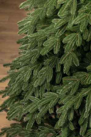 Ялинка лита 'Лапландська' ПАРАСОЛЬКА ЗЕЛЕНА 2,10м