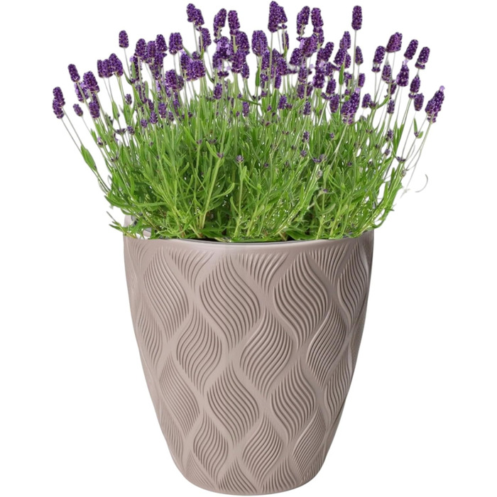 Квітчар MELTOM Blumenkübel: декоративний горщик для квітів з винімним вкладишем, кругла форма, 3D ефект, колір Taupe (M)