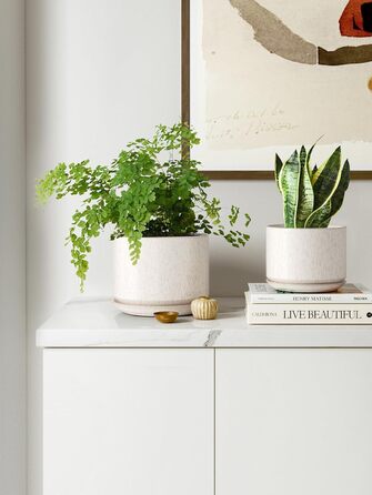 3 шт. керамічні горщики для квітів LE TAUCI, діаметр 11+13+17 см, з підставкою та дренажним отвором, для кімнатних рослин, бежевий, реактивна глазур