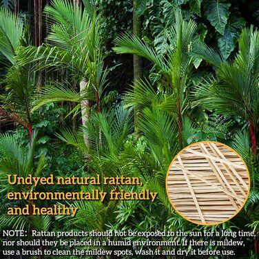 Набір для закваски, 11 предметів: гніт для хліба, гніт для хліба круглий 23 см, повний набір аксесуарів для випікання хліба, набір для випікання хліба, великий подарунок для початківців та досвідчених пекарів (гніт для хліба круглий 23 см)