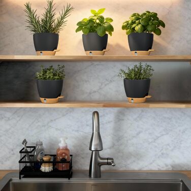 Набір горщиків для квітів ZMTECH 25 см з підставкою, пластикові пересаджувальні горщики з автополивом, кашпо з індикатором рівня води для дому/саду (2 шт., чорний)