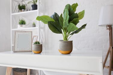 Набір керамічних горщиків Olly & Rose Gold Dip: 17 см + 12 см, для дому та саду, золотий декор