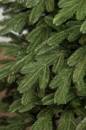 Ялинка лита 'Лапландська' ПАРАСОЛЬКА ЗЕЛЕНА 1,80м