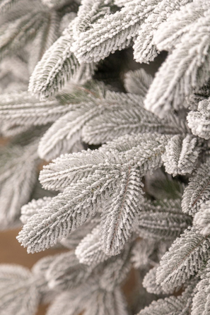 Ялинка лита 'Лапландська' ЗАСНІЖЕНА ПАРАСОЛЬКА 1,50м