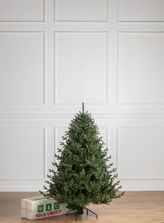 Ялинка лита 'Міланська' ПАРАСОЛЬКА ЗЕЛЕНА 1,80м