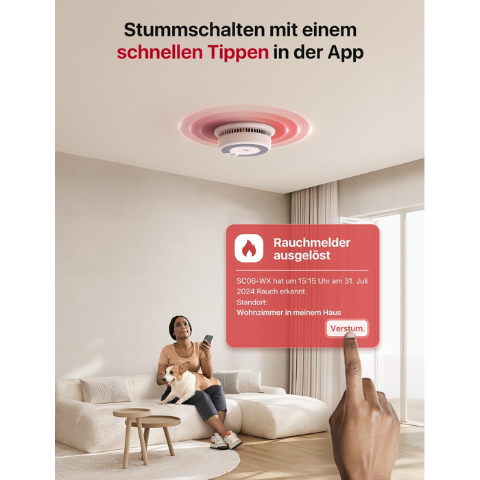 X-Sense Детектор диму та CO з Wi-Fi, 2-в-1, SC06-WX, 1 шт.