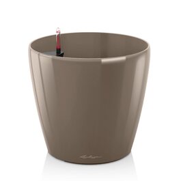 колір: текстура 