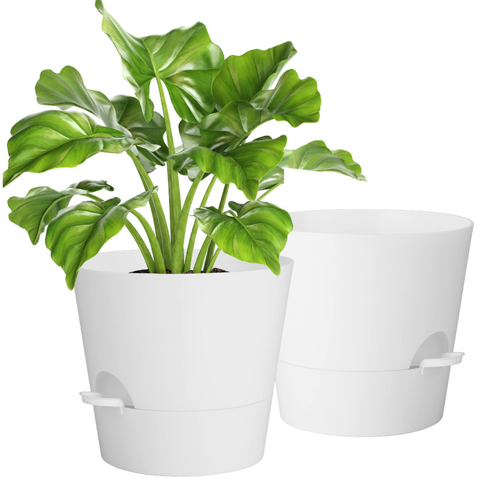 Набір з 2 горщиків для квітів 25.4 см, пластик, з системою поливу, для дому, балкону, саду, сукулентів, кактусів (зелений, білий)