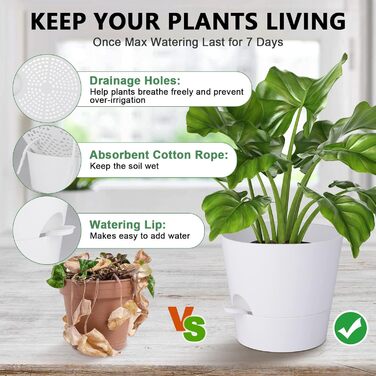 Набір з 2 горщиків для квітів 25.4 см, пластик, з системою поливу, для дому, балкону, саду, сукулентів, кактусів (зелений, білий)