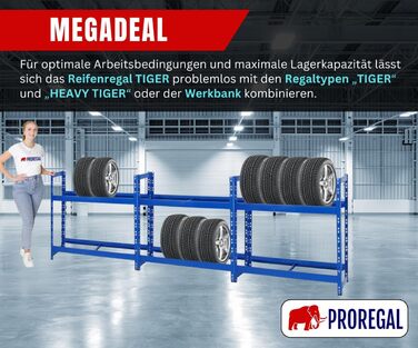 Стелаж для шин PROREGAL Tiger: 100x110x35 см, 150 кг навантаження, 8 шин, 2 рівні, блакитний