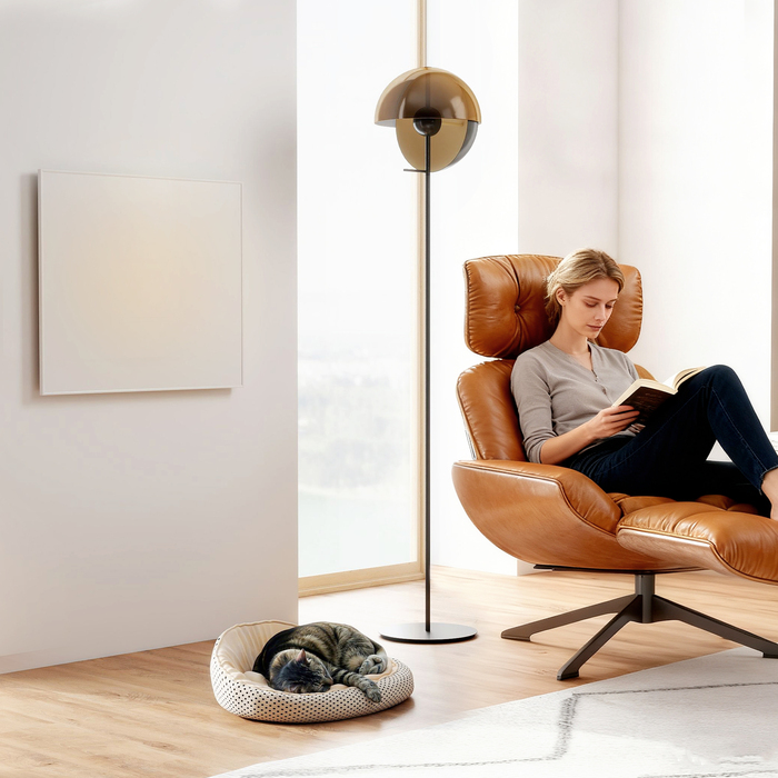 Електричний обігрівач HOMCOM з настінним кріпленням, інфрачервоний, енергозберігаючий, з термостатом, таймером, пультом дистанційного керування та захистом від перегріву.