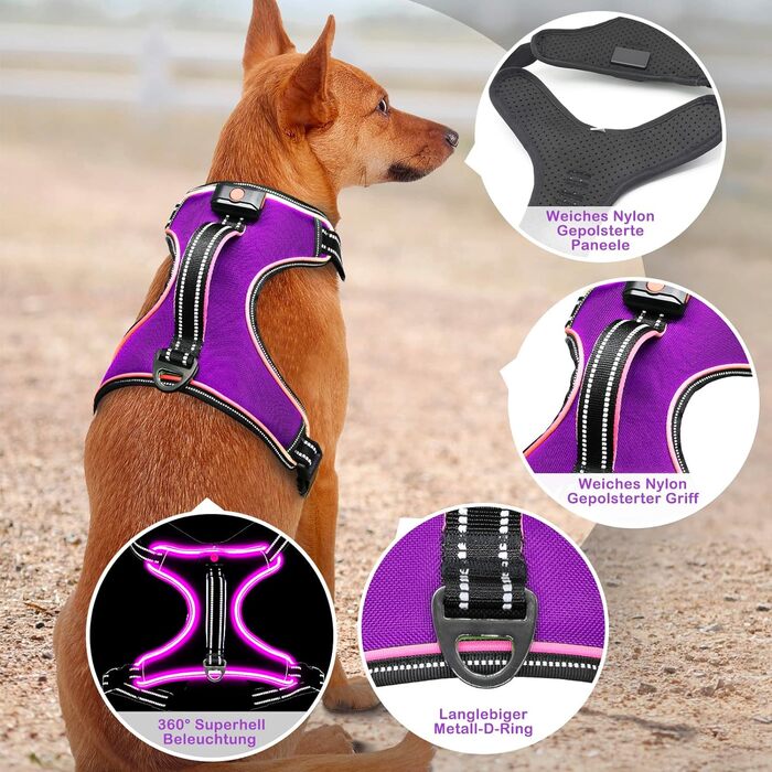 Шлейка для собак, що світиться (XL, фіолетовий)