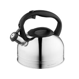 Чайник FLORINA Fenny Satin Induktion 2.5L з нержавіючої сталі, сріблястий