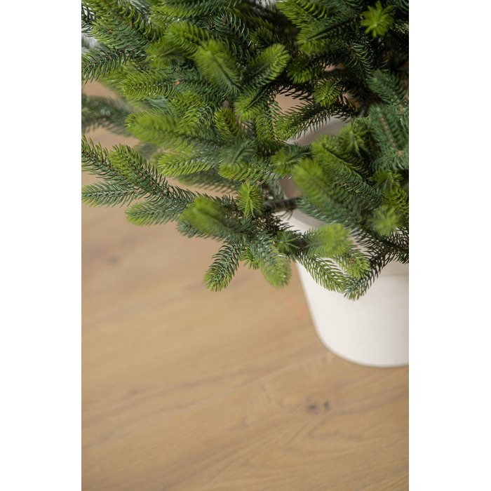 Ялинка лита 'Віденська' в горщику ВЕСНЯНА 1,10м