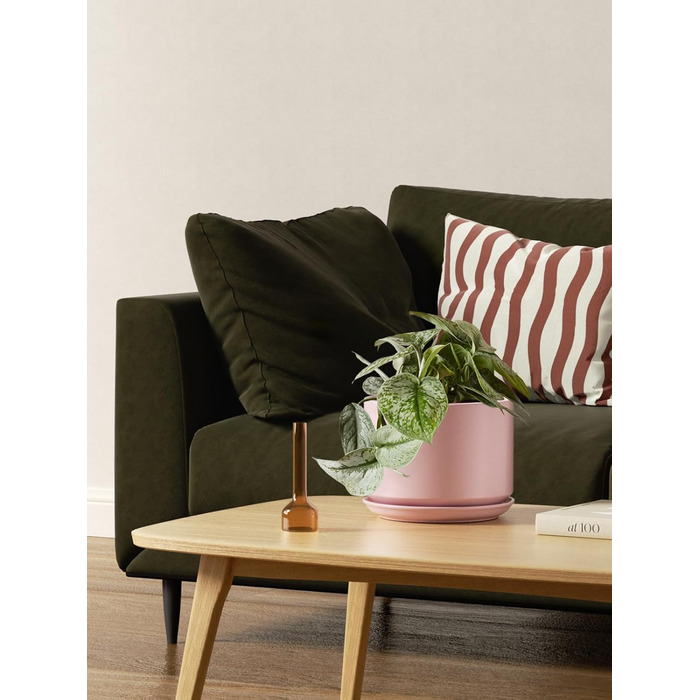 Набір горщиків для квітів LE TAUCI (3 шт.) з кераміки, діаметр 11, 13, 17 см, з підставками та дренажними отворами, реактивна глазур, бежево-рожевий