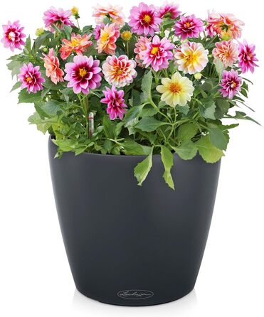 Горщик для квітів LECHUZA CLASSICO Color 28 сірий, 13204, 28.5x28.5x26 см