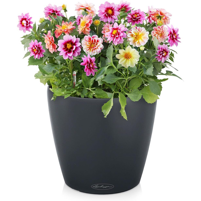 Горщик для квітів LECHUZA CLASSICO Color 28 сірий, 13204, 28.5x28.5x26 см