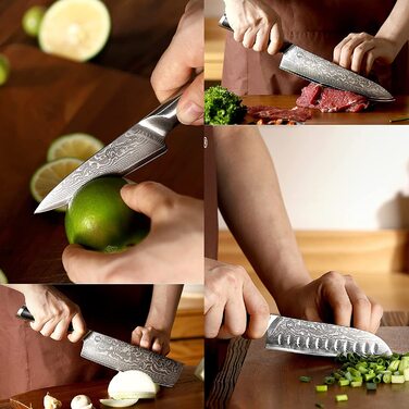 Набір ножів Sunnecko 6 предметів з блоком: кухонні ножі з дамаської сталі, ергономічні ручки, кухонні ножиці, тримач для ножів, дерев'яний блок