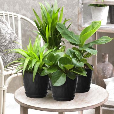 Набір горщиків для квітів з системою поливу (5 шт.), 17.8 см, з підставкою, для дому та балкону (чорний)