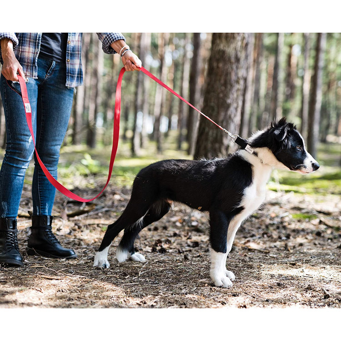 Повідець для собак Beddog Емма, регульований на 3 довжини, подвійний повідець, повідець для вигулу, повідець для вигулу, поводок для собак середнього і великого розміру, загальна довжина 2 м- (2 м/25 мм, червоний)
