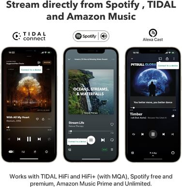 Сумісність з Alexa/Siri/Google, 2, Chromecast Audio, Multiroom Streamer, Hi-Res Audio