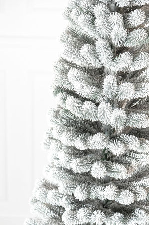 Ялинка лита 'Президентська' конусна ЗАСНІЖЕНА 1,80м