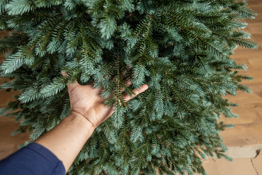 Ялинка лита 'Аляска' ПАРАСОЛЬКА ЗЕЛЕНА 2,50м