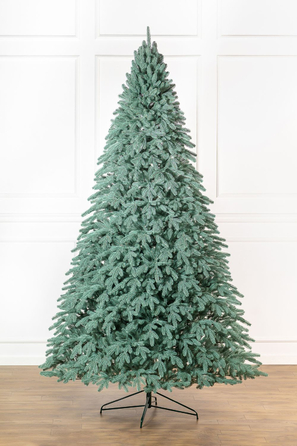 Ялинка лита 'Лапландська' ПАРАСОЛЬКА БЛАКИТНА 3,00м