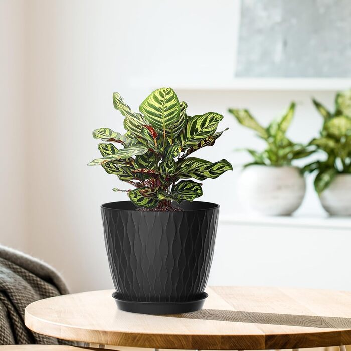 Набір горщиків для квітів з системою поливу (5 шт.), 17.8 см, з підставкою, для дому та балкону (чорний)