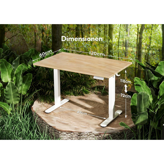 Письмовий стіл INNOVAR, що регулюється по висоті Письмовий стіл 120x60 з натурального дерева, електричний стоячий стіл, функція пам'яті, захист від зіткнень