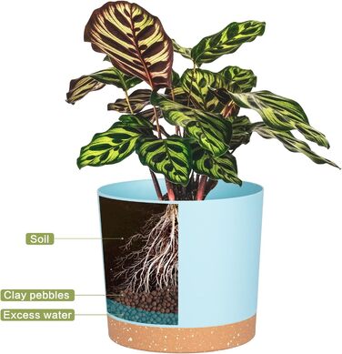 Набір горщиків для квітів QCQHDU 2 шт. з дренажними отворами та знімним дном, підставки, сучасний декор для дому та саду (Світло-блакитний, 25.4 см)