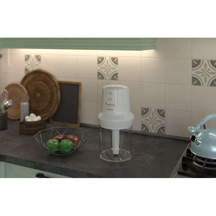 Подрібнювач Moulinex Mini Chopper Elektro Moulinette DJ300110 - компактний, 270 Вт, білий