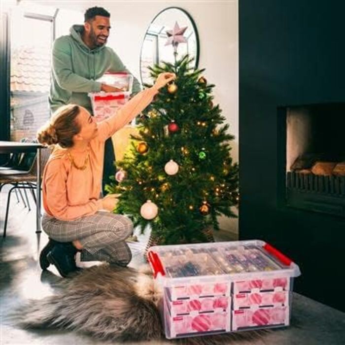 Коробка для прикрас SUNWARE Q-Line 45 л з підносами для 98 ялинкових кульок, прозора/червона