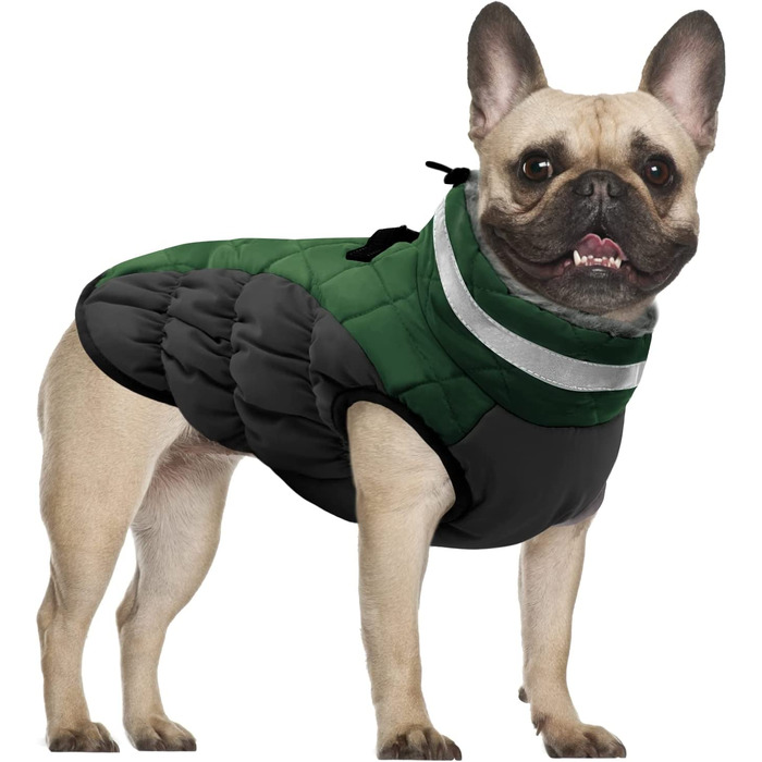Зимове пальто для собак CITTOILE, куртка для собак з шлейкою, водонепроникне Пальто для собак з флісовою підкладкою для маленьких собак, тепла куртка для собак зі світловідбиваючим покриттям для маленьких собак середнього розміру, (XS, зелений)