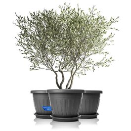 Плантатор BigDean 3X з підставкою, ø50xH38 см, антрацит - вологостійкий горщик для квітів - з водостоком, UV-стійкий, з міцного пластику - для внутрішнього та зовнішнього використання, Made in Europe