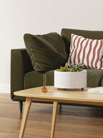 Набір горщиків для сукулентів LE TAUCI, 16,5+20 см, кераміка, для дому, з дренажними отворами, сучасний циліндричний дизайн, 2 шт. (білий)