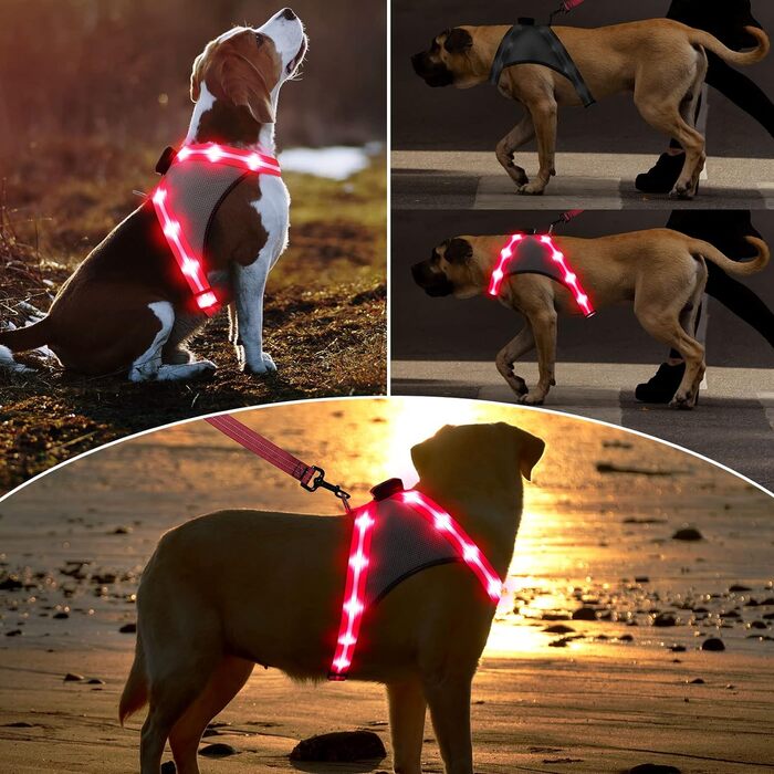 Шлейка для собак Chakit ED, світловідбиваюча, акумуляторна, що світиться (XL, рожева)