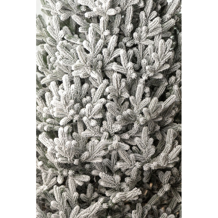 Ялинка лита 'Віденська' ЗАСНІЖЕНА 2,30м