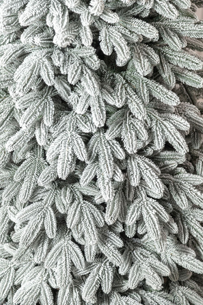 Ялинка лита 'Лапландська' ЗАСНІЖЕНА 2,50м