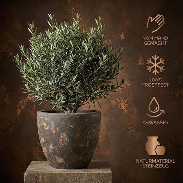 Керамічний горщик Teramico Premium: ручна робота, морозостійкий, з отвором для поливу. Підходить для квітів у саду та вдома. Унікальний горщик Lava Braun, 21x18 см