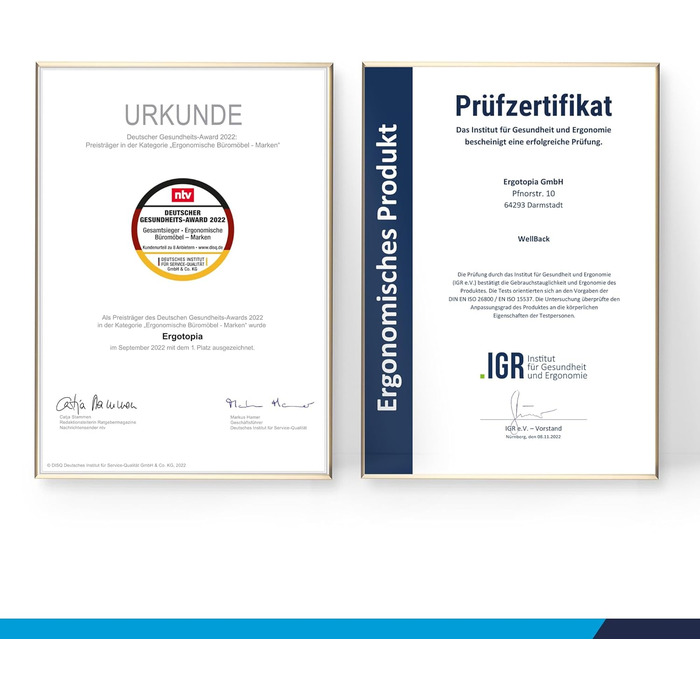 Ergotopia WellBack: Ергономічне крісло для офісу та дому, Made in Germany, з підтримкою попереку та синхро-механізмом, білий каркас, сірий колір