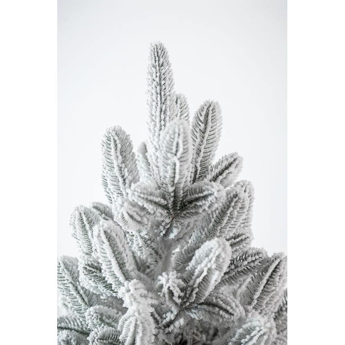 Ялинка лита 'Лапландська' в горщику ЗАСНІЖЕНА 0,70м