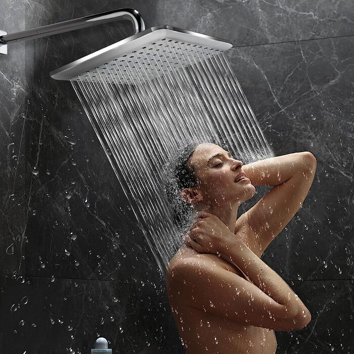 Стаціонарний душовий розпилювач Abujia 22,9 см хромований